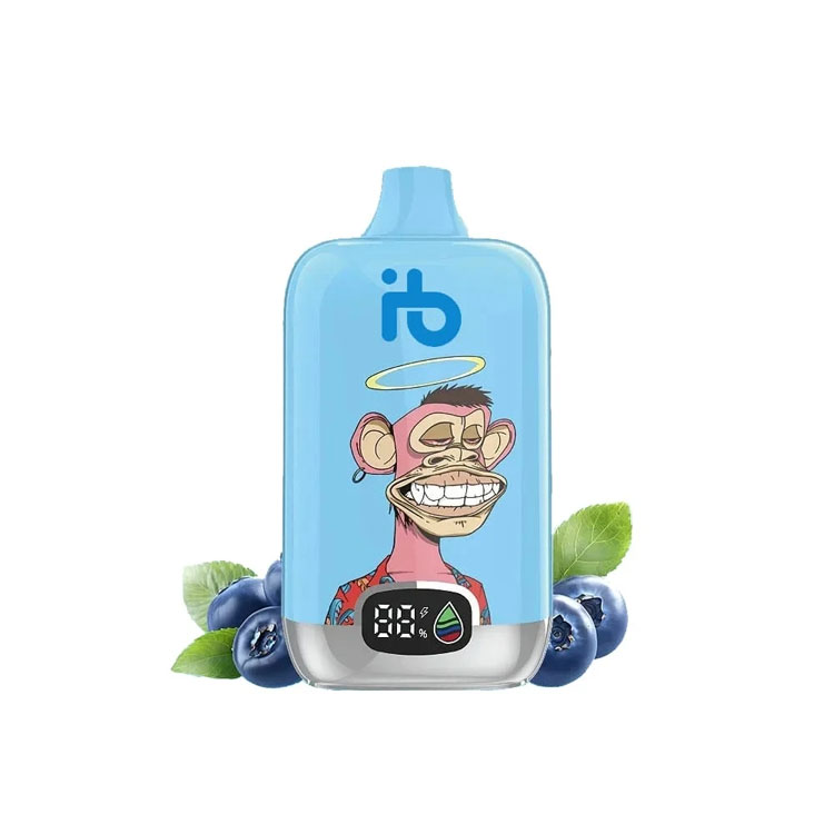 Affordable IBvape e-cigarette Tips and Why an IBvape e-cigarette Works Better with a Cigarette Lighter Plug to Wall Adapter