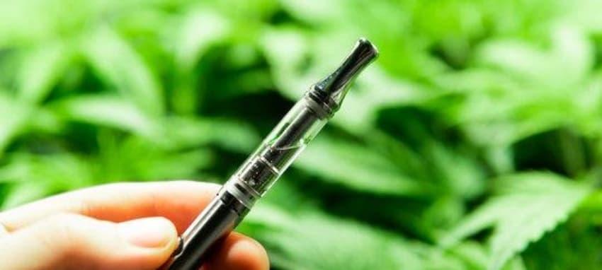 đá gà trực tiếp 67 live stream highlights and why e cigarette bad for lungs and long term health